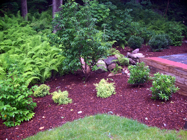 Lush landscaped outdoor space designed by Nearly Nature Landscaping